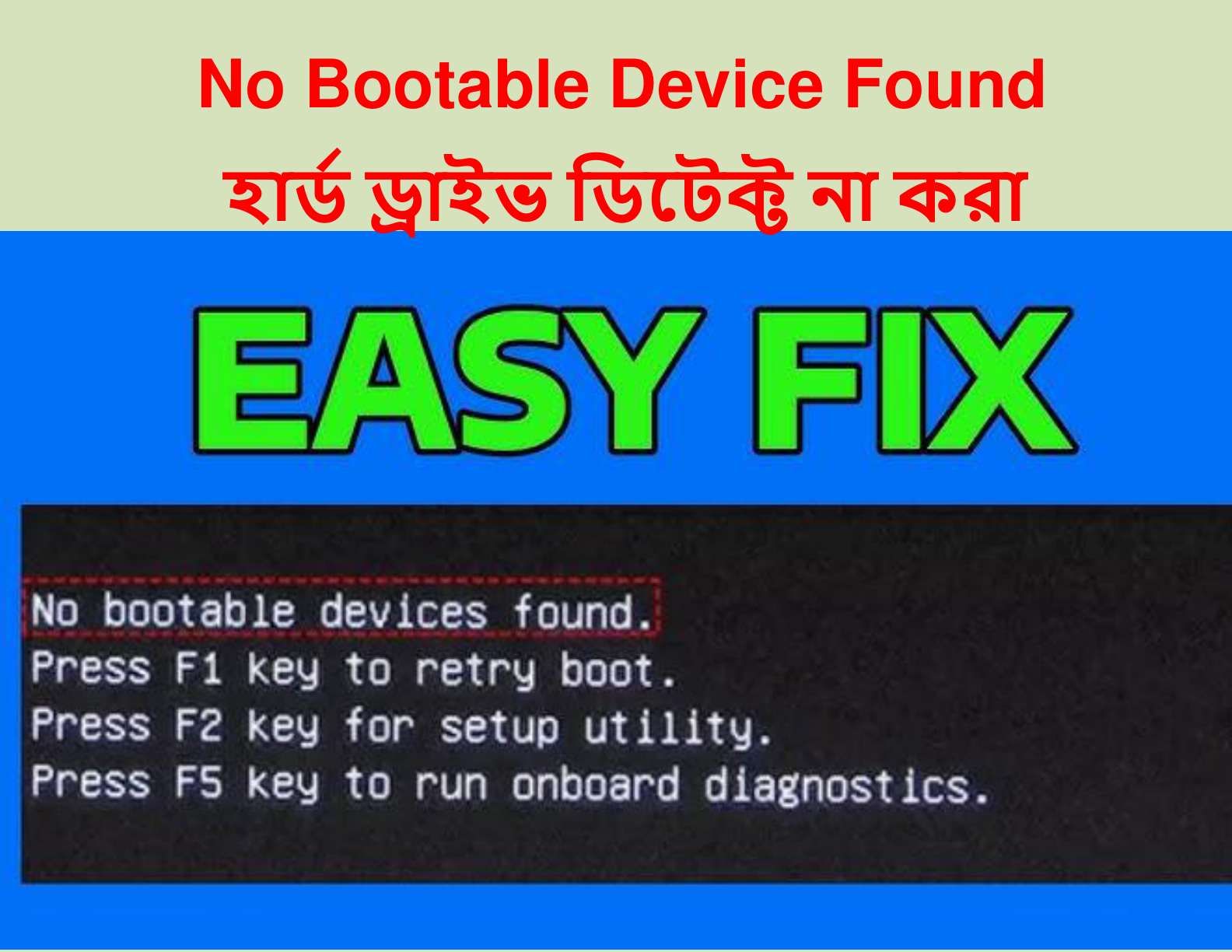 No Bootable Device Found (হার্ড ড্রাইভ ডিটেক্ট না করা)