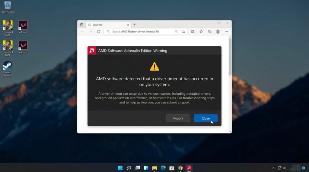 AMD Radeon Software এরর।